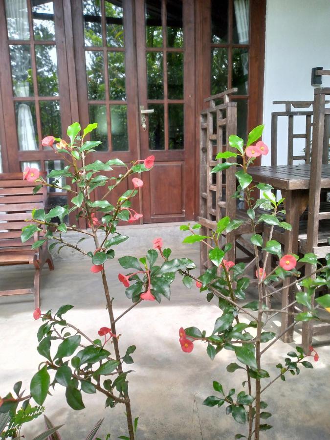Avenra Cottage Ella Zewnętrze zdjęcie